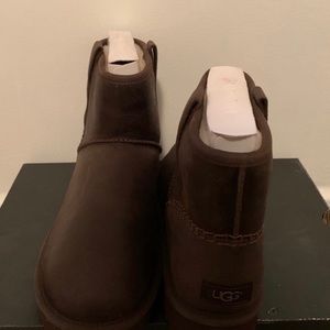 UGG Australia Classic Short Men's 12